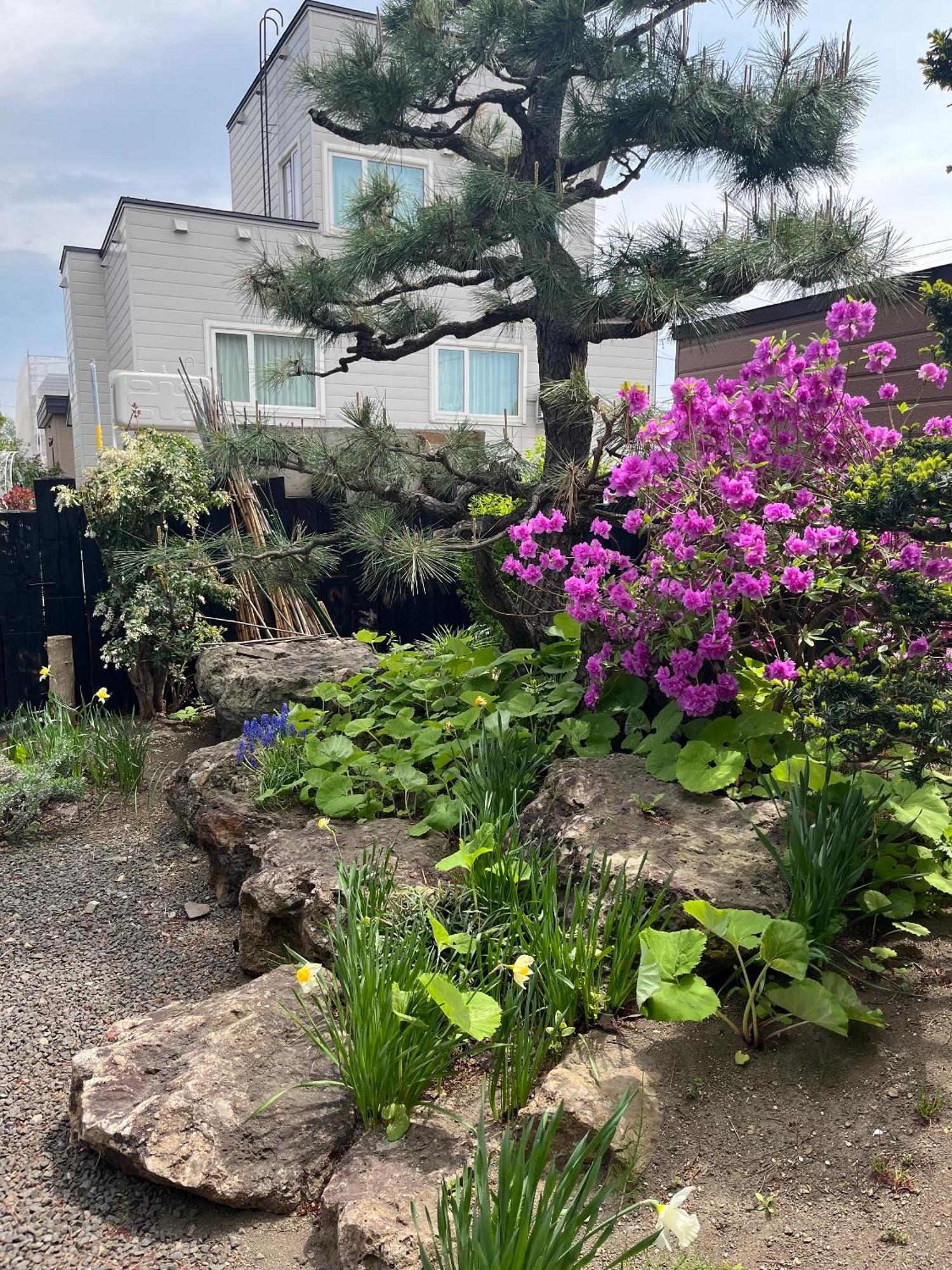 民泊 B&B Yoshida Sapporo Ngoại thất bức ảnh